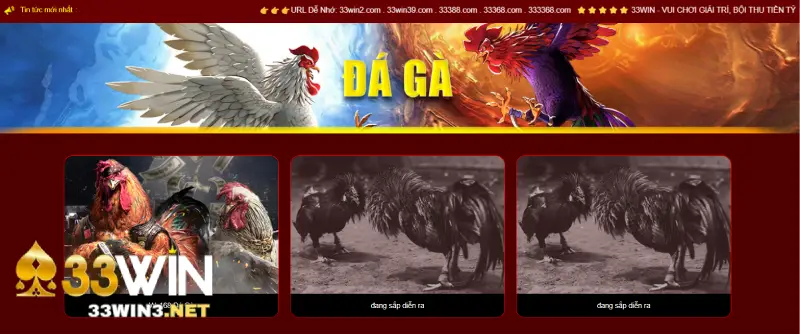 Lý do đá gà Campuchia được yêu thích