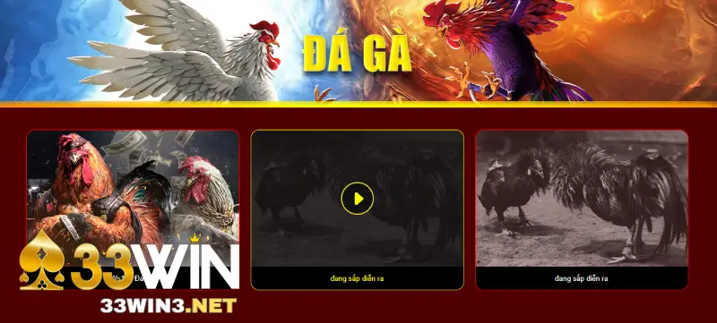 Quy tắc chơi Ws168 đá gà 33win